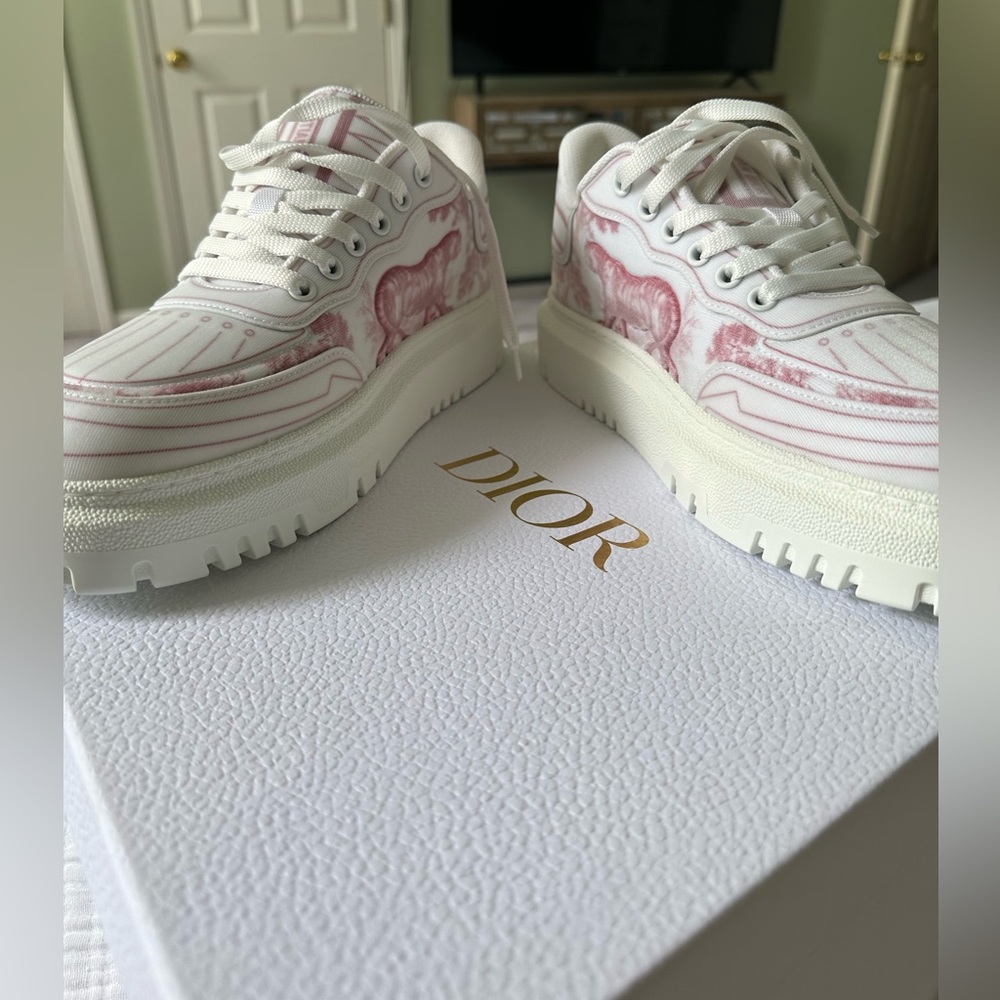 Dior Addict Sneakers